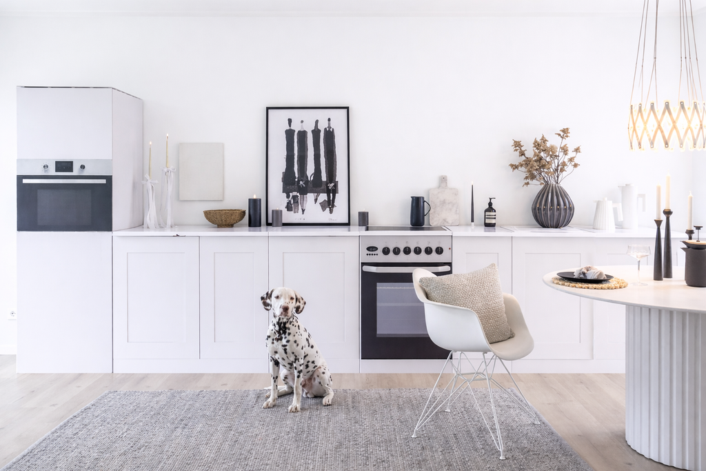 Home Staging-papkøkken XXL – eksempel på brug i Home Staging